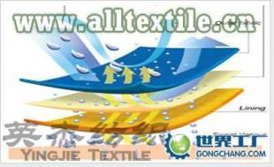 供應滌綸針織尼龍復合面料 尼龍針織尼龍復合面料_紡織、皮革_世界工廠網中國產品信息庫